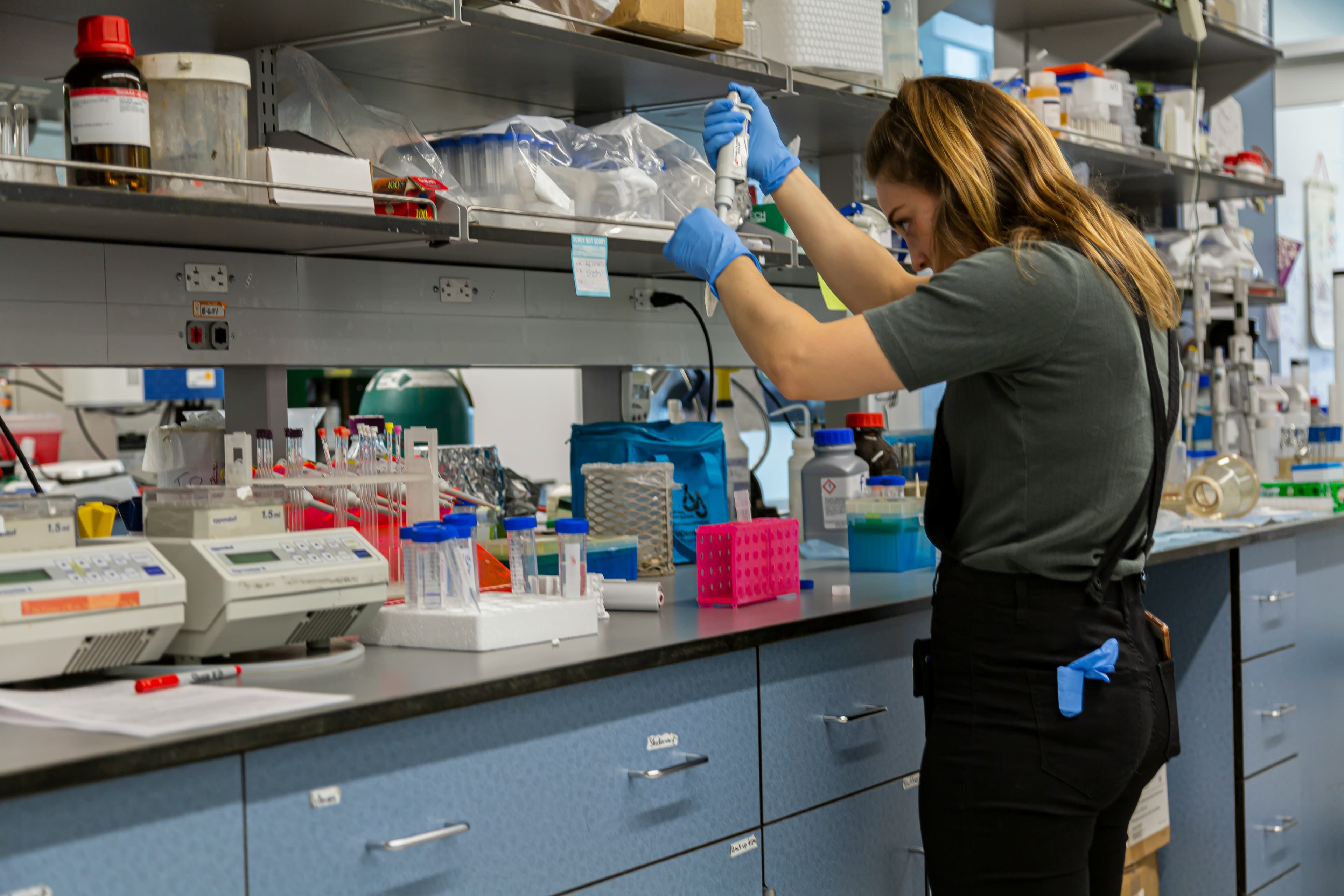 Exploration scientifique